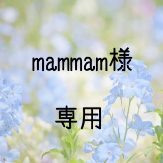 mammam様専用  お米　令和元年　愛媛県産キヌヒカリ　玄米　30㎏(米/穀物)