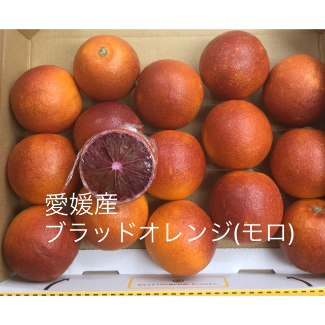 愛媛産ブラッドオレンジ(モロ) 食品/飲料/酒の食品(フルーツ)の商品写真