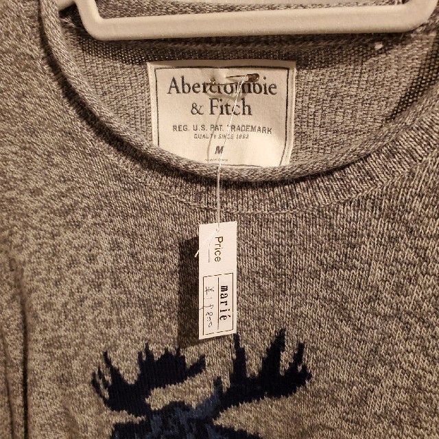 Abercrombie&Fitch(アバクロンビーアンドフィッチ)のabercrombie&fitch  ニット セーター メンズ Mサイズ メンズのトップス(ニット/セーター)の商品写真