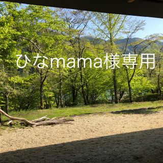 ハーバリウムボールペンチャーム替芯付きひなmama様専用(その他)