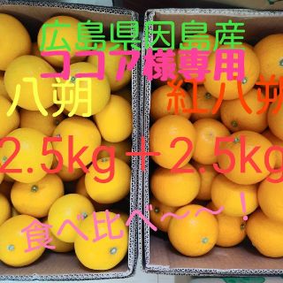 八朔　食べ比べ　5kg(フルーツ)