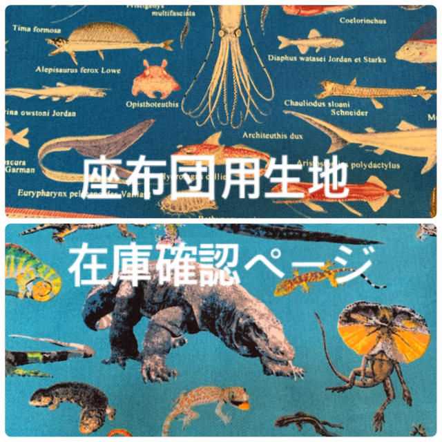 子供座布団★生地在庫確認ページ（爬虫類・深海魚柄）