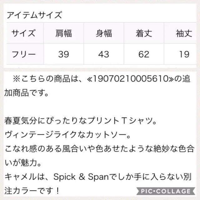 Spick & Span(スピックアンドスパン)の☆即完売☆ スピックアンドスパン MIXTA  Tシャツ 別注 キャメル レディースのトップス(Tシャツ(半袖/袖なし))の商品写真