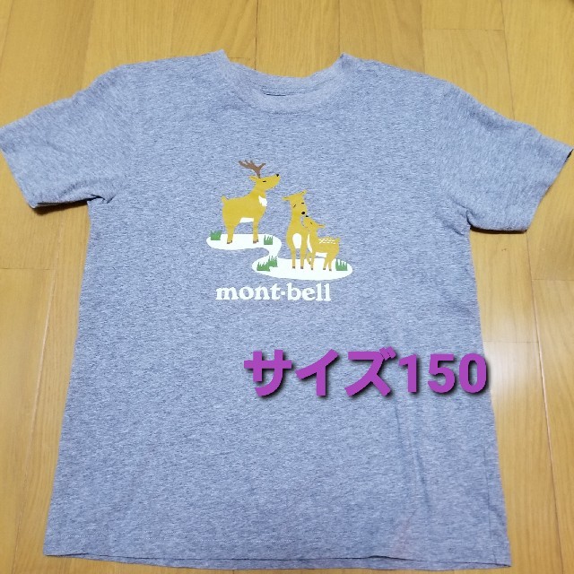 mont bell(モンベル)のmont-bellモンベル　キッズ　150サイズ Tシャツ2枚 キッズ/ベビー/マタニティのキッズ服女の子用(90cm~)(Tシャツ/カットソー)の商品写真