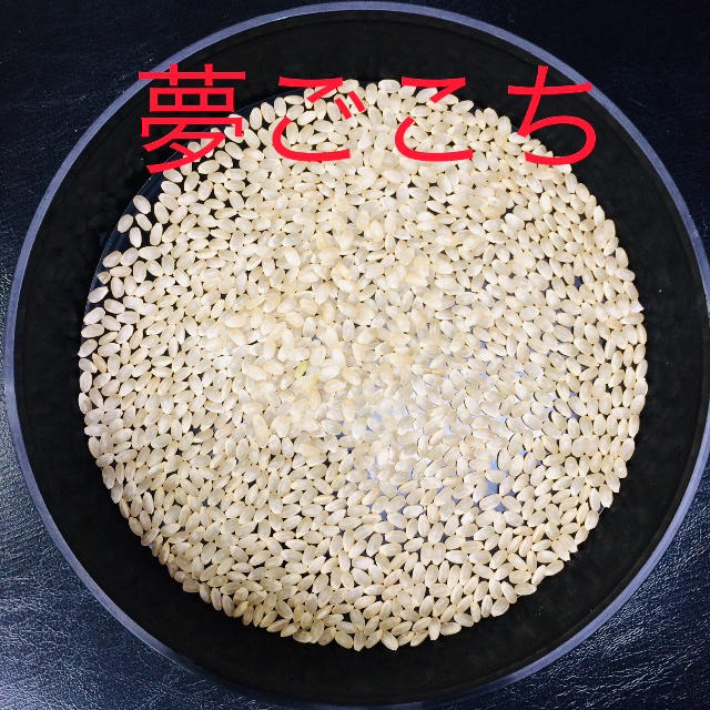 2019年・令和1年産「京都府丹後産夢ごこち」特別栽培米・玄米３０㎏　米/穀物