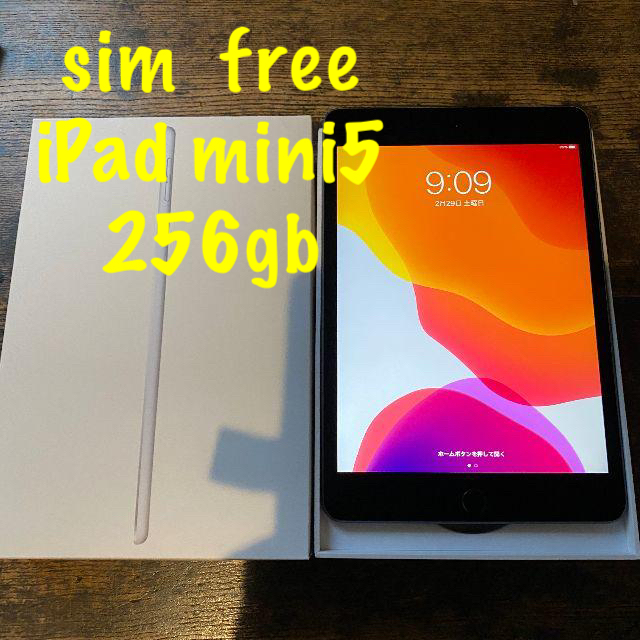 ⑫ SIMフリー iPad mini5 wifi 256gb