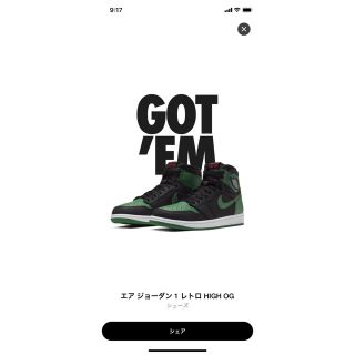 ナイキ(NIKE)のナイキ エアジョーダン1  Black / Pine Green  27cm(スニーカー)