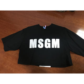 エムエスジイエム(MSGM)のMSGM シャツ(Tシャツ(半袖/袖なし))