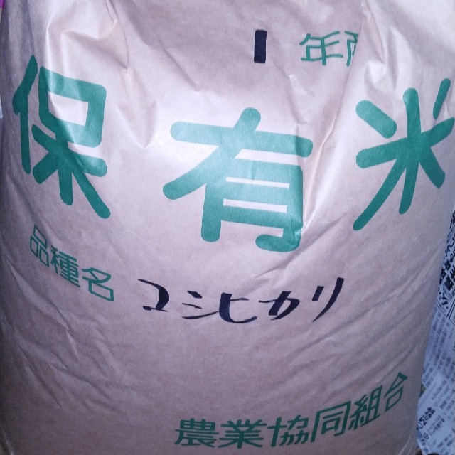 食品/飲料/酒栃木県特一等米コシヒカリ無農薬にて作ってです。