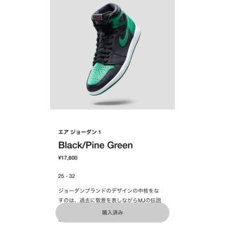 ナイキ(NIKE)のAir Jordan 1 OG pine green 28.0cm(スニーカー)