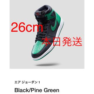 ナイキ(NIKE)のNIKE air jordan pine green 26cm(スニーカー)