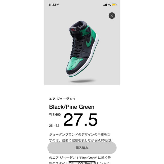 NIKE(ナイキ)のAJ Black/Pinegreen メンズの靴/シューズ(スニーカー)の商品写真