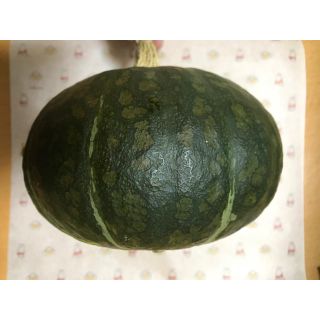 最もポピュラーなカボチャ 黒皮栗カボチャの種 20粒です(野菜)