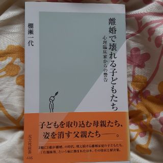 離婚で壊れる子どもたち 心理臨床家からの警告(文学/小説)