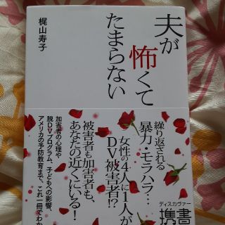 夫が怖くてたまらない(人文/社会)