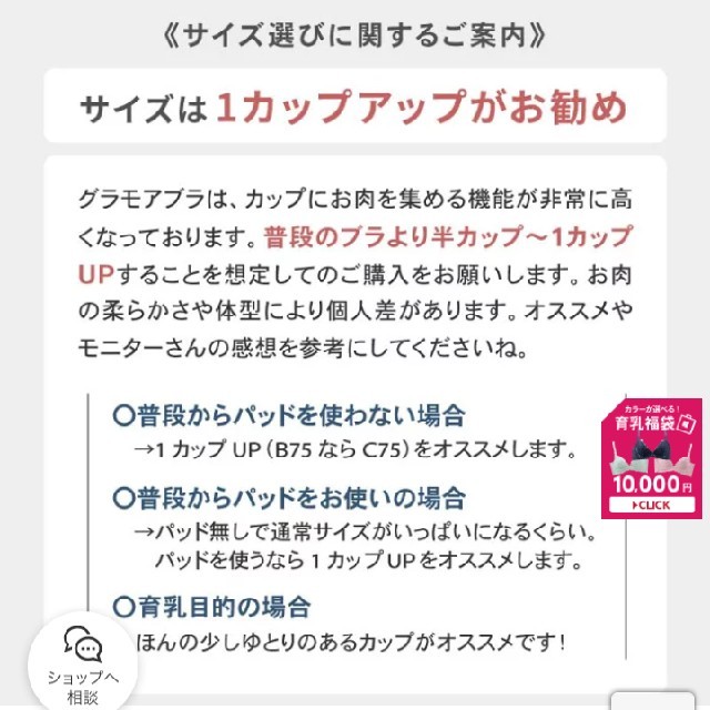 グラモア　D70 レディースの下着/アンダーウェア(ブラ)の商品写真