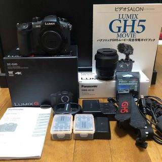 パナソニック(Panasonic)の【美品】LUMIX GH5ボディ＋ズームレンズ付 V-log撮影可能 オマケ多数(デジタル一眼)