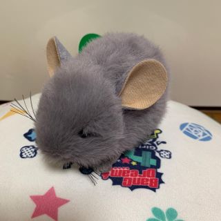 上野動物園 チンチラ ぬいぐるみ(ぬいぐるみ)