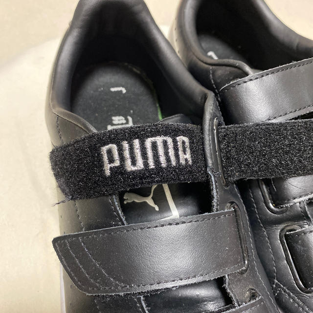 PUMA(プーマ)のプーマ　スニーカー　ベルクロ　27.5 メンズの靴/シューズ(スニーカー)の商品写真