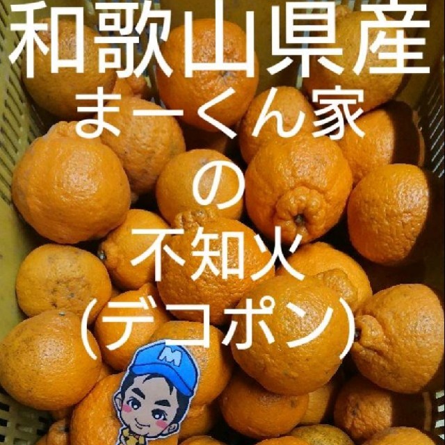 まーくん家のちっちゃなたねなし柿 お試しコンパクト