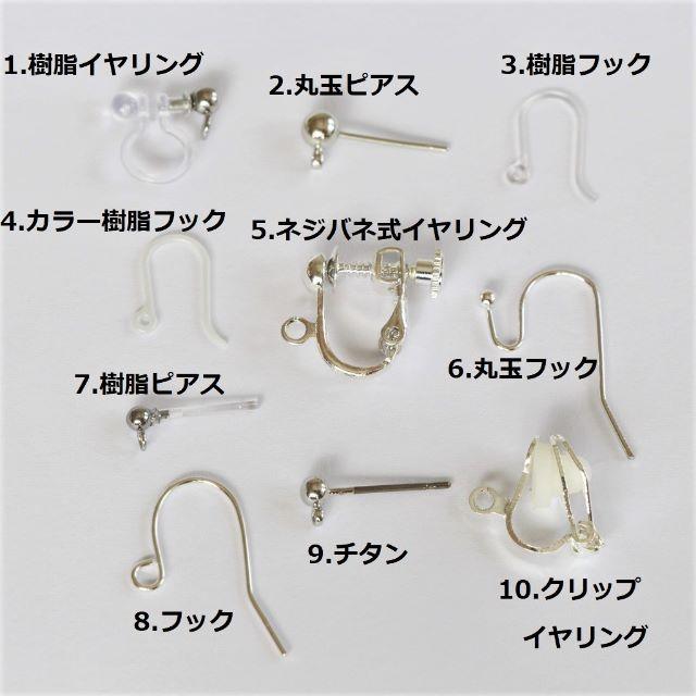 L195　なあたむ様　専用 レディースのアクセサリー(イヤリング)の商品写真