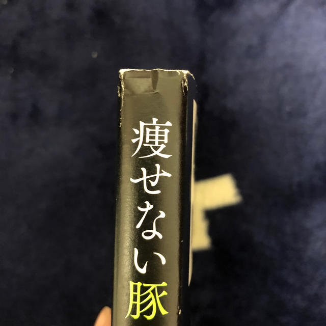 角川書店(カドカワショテン)の痩せない豚は幻想を捨てろ エンタメ/ホビーの本(ファッション/美容)の商品写真