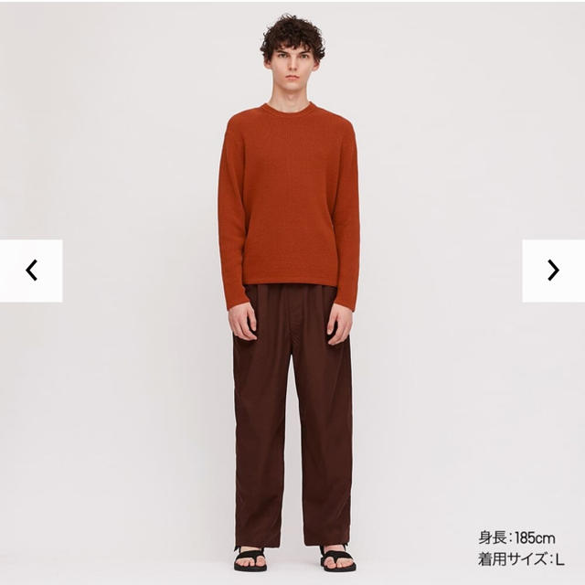 UNIQLO(ユニクロ)のUNIQLO U 2020 イージーワイドフィットパンツ ブラウン L 完売 メンズのパンツ(チノパン)の商品写真