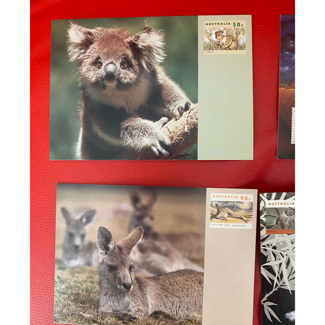 オーストラリア　AIR MAIL コアラ エンタメ/ホビーのコレクション(ノベルティグッズ)の商品写真