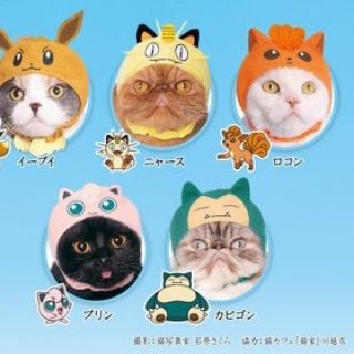 ポケモン 猫の通販 19点 ポケモンのその他を買うならラクマ