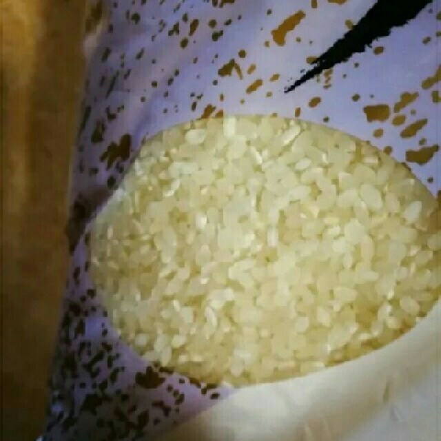 米　米/穀物