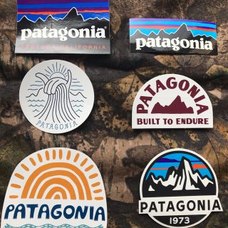 パタゴニア(patagonia)の★超特価★ 新品未使用　パタゴニア　定番〜新作ステッカー　6枚セット(その他)