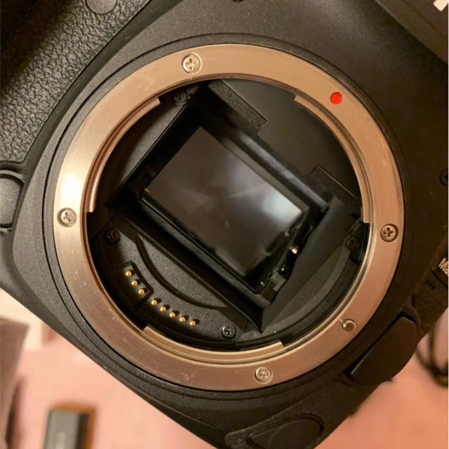 Canon(キヤノン)のcanon  5d mark Ⅳ 4 キャノン64GBのSDカード付き スマホ/家電/カメラのカメラ(その他)の商品写真