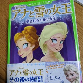 アナトユキノジョオウ(アナと雪の女王)のアナ雪　文庫(日用品/生活雑貨)