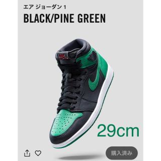 ナイキ(NIKE)の24時間値下げNike AIR JORDAN1 OG pine green 29(スニーカー)