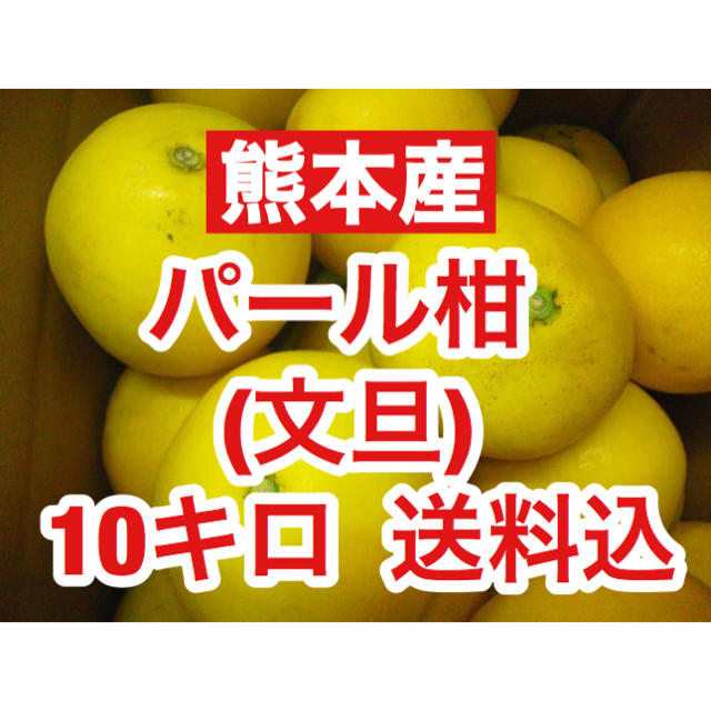 熊本産  訳ありパール柑(文旦) 約10キロ  送料込 食品/飲料/酒の食品(フルーツ)の商品写真