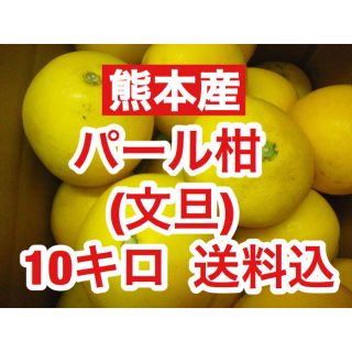 熊本産  訳ありパール柑(文旦) 約10キロ  送料込(フルーツ)