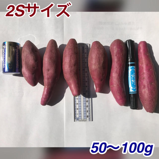 なると金時 鳴門金時2Sサイズ 送料無料 食品/飲料/酒の食品(野菜)の商品写真