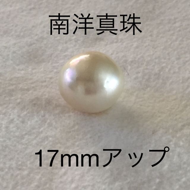 南洋真珠 レディースのアクセサリー(その他)の商品写真