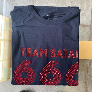 シュプリーム(Supreme)のTEAM SATAN SKATE BOARDING L/S TEE SHIRT(Tシャツ/カットソー(七分/長袖))