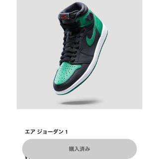 ナイキ(NIKE)のair jordan 1 retro high og pine green(スニーカー)