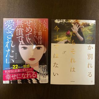 いつか別れる。でもそれは今日ではない　人生に大きな期待はしないからせめて無償で(文学/小説)