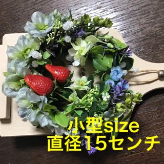 小型サイズ✨✨イチゴとお花畑のリース🍓🍓(リース)