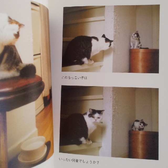 「まこという名の不思議顔の猫」「続 まこという名の不思議顔の猫」2冊セット エンタメ/ホビーの本(住まい/暮らし/子育て)の商品写真