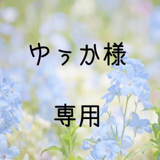 ゆぅか様専用  お米　令和元年　愛媛県産キヌヒカリ　白米　10㎏(米/穀物)