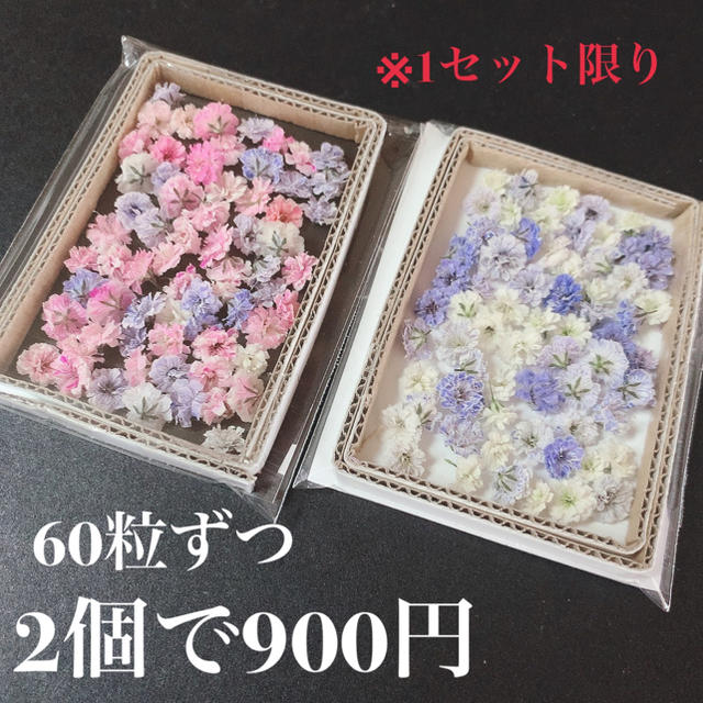 かすみ草　ドライフラワー　1セット限り ハンドメイドの素材/材料(各種パーツ)の商品写真