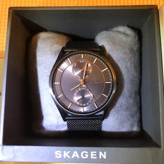 スカーゲン(SKAGEN)のSKAGEN (腕時計(アナログ))