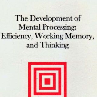 Development of Mental Processing再再再値下げ(洋書)