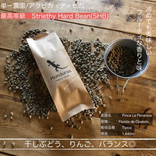 SHG ホンジュラス 100% 　焙煎 コーヒー豆（200g）(コーヒー)