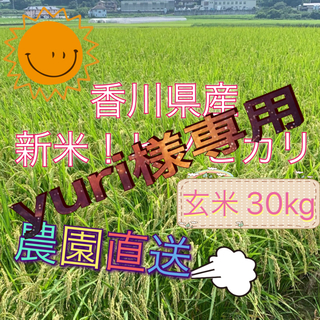 yuri様専用　ヒノヒカリ　　30kg  (米/穀物)