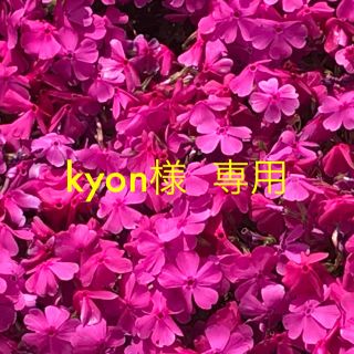 kyon様 専用(ブラ&ショーツセット)